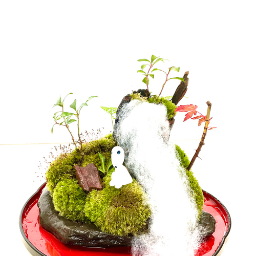 苔島コダマがある苔の森 盆栽 moss loulan(楼蘭) 通販 15315312