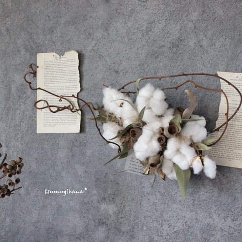 キウイツルのコットンリース№1 綿花 コットン コットンリース ドライ