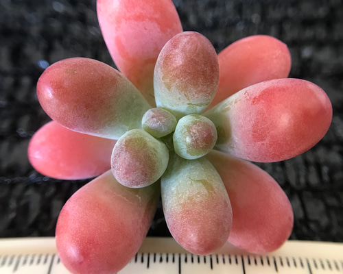 c3f1dc3782b28528fa4b3a791b0b2b