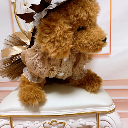 犬服 S わんこの普段着 青い目のくまちゃん紺色 犬服 SS わんこ