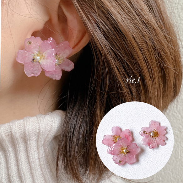 再販3【rie.t】本物の小さな桜　お花見イヤーカフセット 1枚目の画像