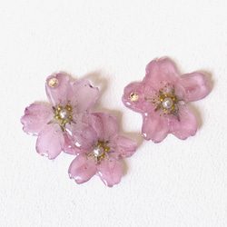 再販3【rie.t】本物の小さな桜　お花見イヤーカフセット 11枚目の画像