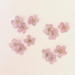 再販3【rie.t】本物の小さな桜　お花見イヤーカフセット 10枚目の画像