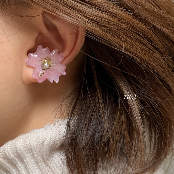再販3【rie.t】本物の小さな桜　お花見イヤーカフセット 4枚目の画像