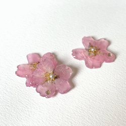 再販3【rie.t】本物の小さな桜　お花見イヤーカフセット 2枚目の画像