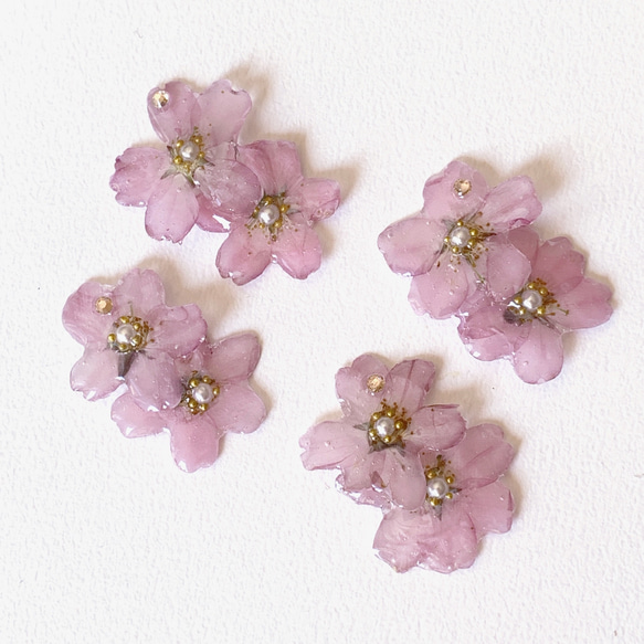再販3【rie.t】本物の小さな桜　お花見イヤーカフセット 12枚目の画像