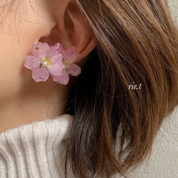 再販3【rie.t】本物の小さな桜　お花見イヤーカフセット 5枚目の画像