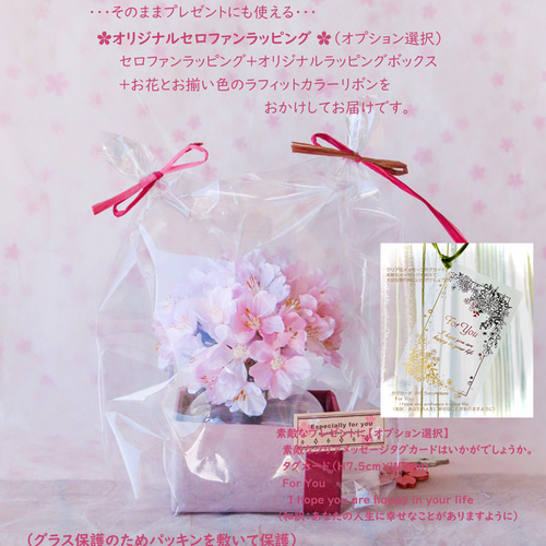 桜・桜色の灯り ～あかり桜 ～ 春を楽しむ・透明感＆花を楽しむ癒され