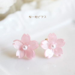 櫻花直孔單隻耳環【日本製】花/花/粉紅色 第1張的照片