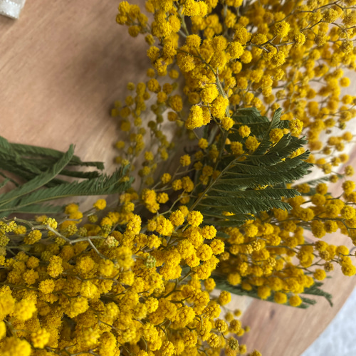 ミモザのフライングリース春待ちリース【20250103】