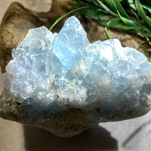 天使の石໒꒱✨虹入り セレスタイト 天青石 クラスター 原石 ラフ