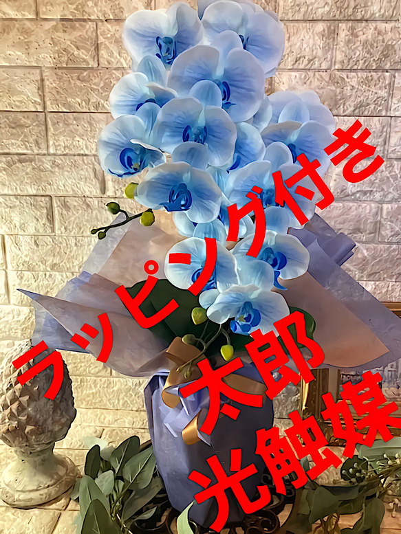 光触媒　人工観葉植物　ウォールグリーン　フェイク　フラワー　リアル胡蝶蘭bl 光触媒 人工観葉植物 ウォールグリーン フェイク フラワー