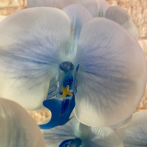 光触媒　人工観葉植物　ウォールグリーン　フェイク　フラワー　リアル胡蝶蘭bl 光触媒 人工観葉植物 ウォールグリーン フェイク フラワー