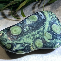 cdc55de421dba8ec9af0b7a35c9025