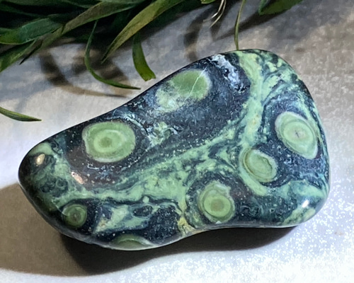 cdc55de421dba8ec9af0b7a35c9025