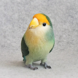 オカメインコ ルチノー 1707233 羊毛フェルト Primary Color Craft