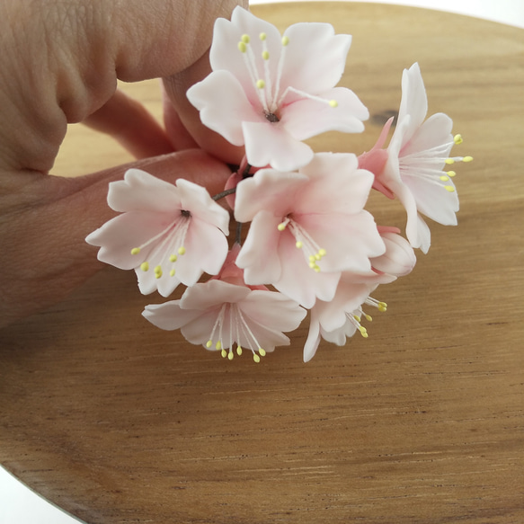 粘土の桜ピック  樹脂粘土の花  淡いピンクでお花見  送料無料 8枚目の画像