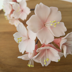 粘土の桜ピック  樹脂粘土の花  淡いピンクでお花見  送料無料 9枚目の画像
