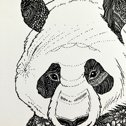 フラワーパンダのポスター しっかり額装付き◎ 春のインテリアにも♩[特集掲載] 3枚目の画像