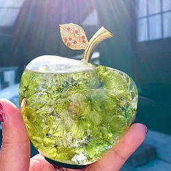 自宅で作れるハーバリウムりんごキット　大 2枚目の画像