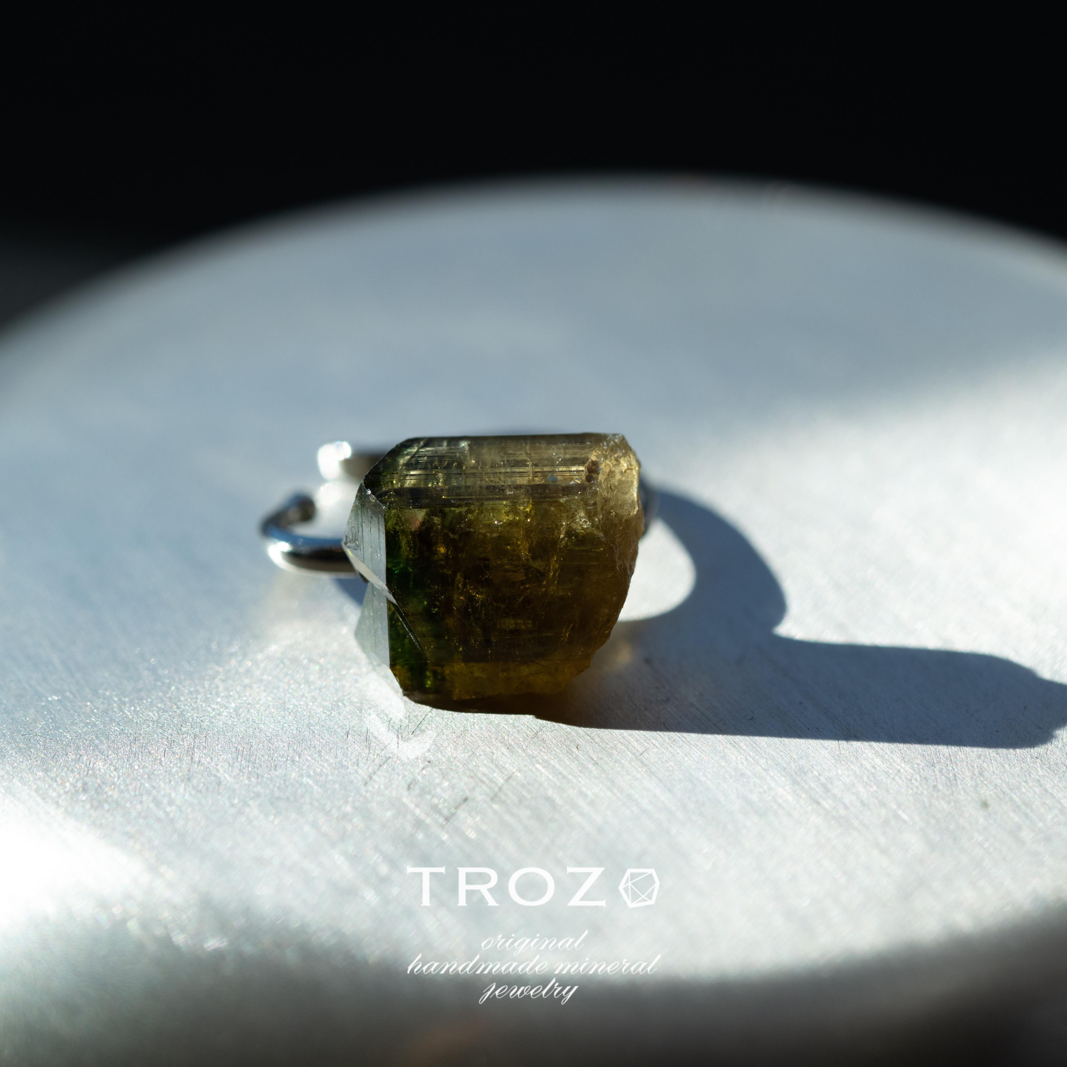 【027 Stay Gold Collection】 クリノゾイサイト 鉱物原石 イヤーカフ 天然石 アクセサリー