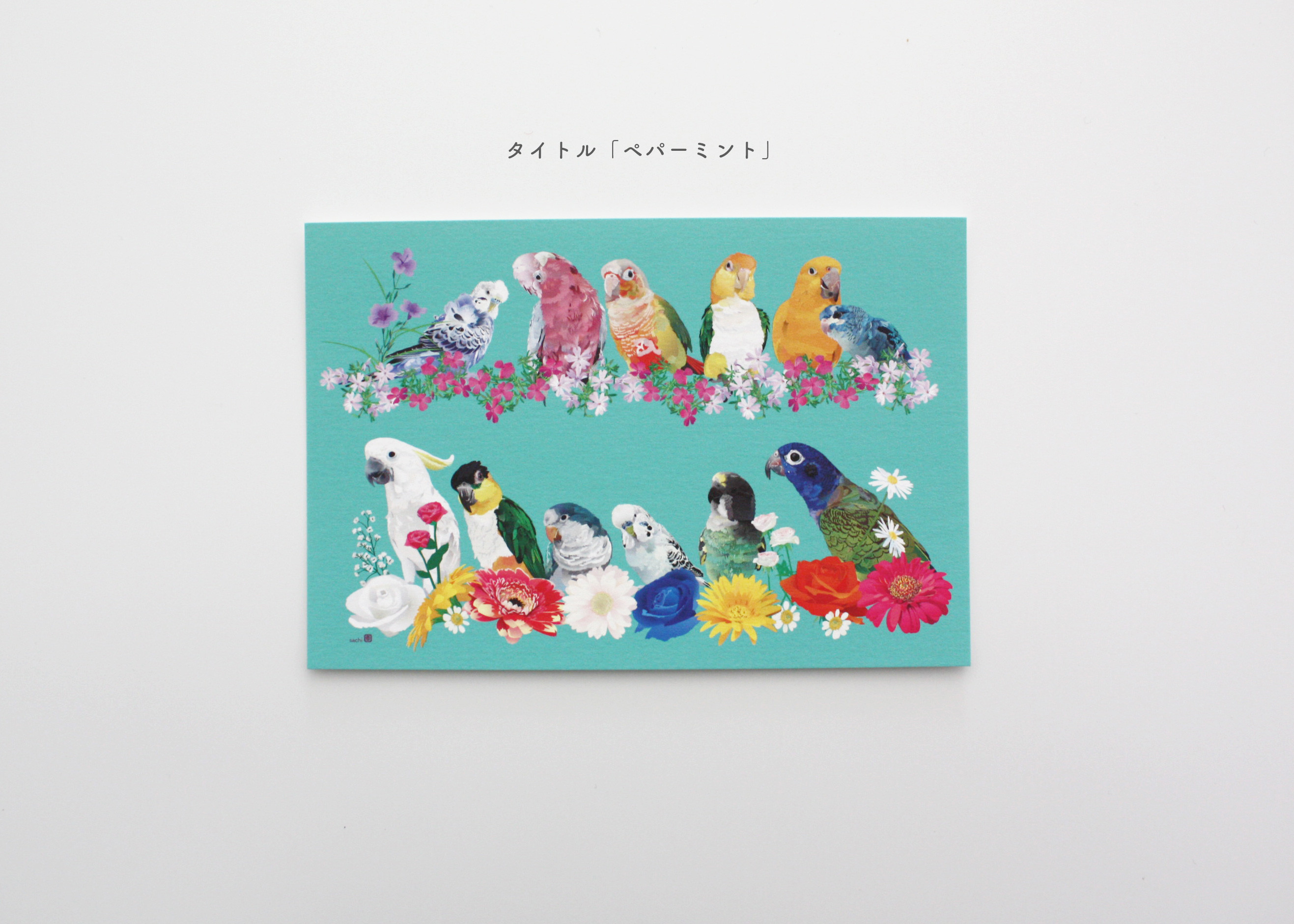鳥類イラストカード 52枚セット 鳥類イラストカード 52枚セット