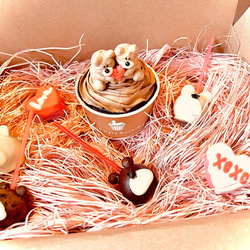 Valentine box / cup and lollipop set box /カップケーキ バレンタイン2023 4枚目の画像