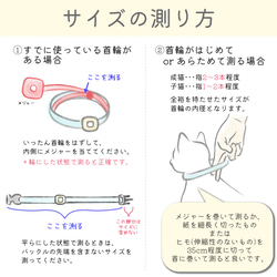  第10張的照片