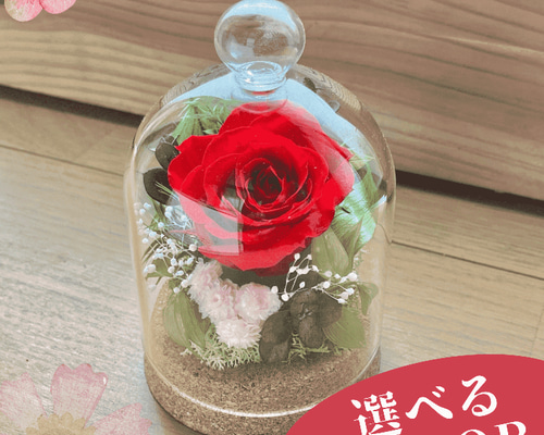 ドーム フラワー ペア ドーム フラワー ペア