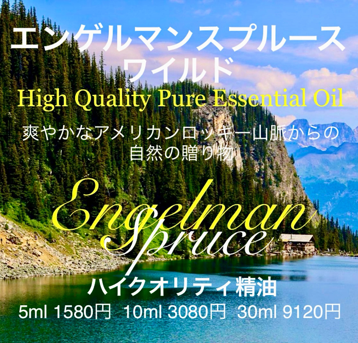 【爽やかな森林の香り】エンゲルマンスプルースワイルド精油30ml