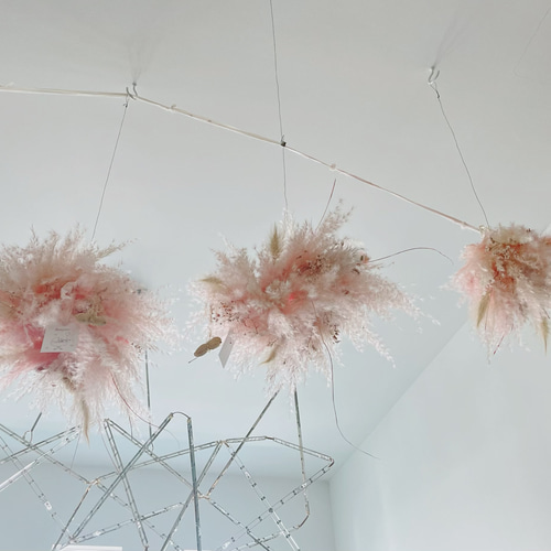 ふんわりピンク＊パンパスグラスフライングリース春リースドライ