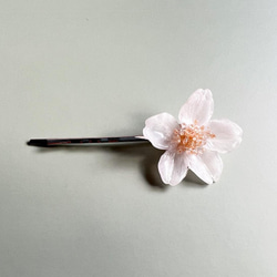 本物の桜 一輪ヘアピン/ sakura white［※受注制作］ 2枚目の画像