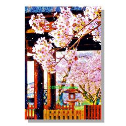 【アートポスター】神社の桜（作品No.467） 5枚目の画像