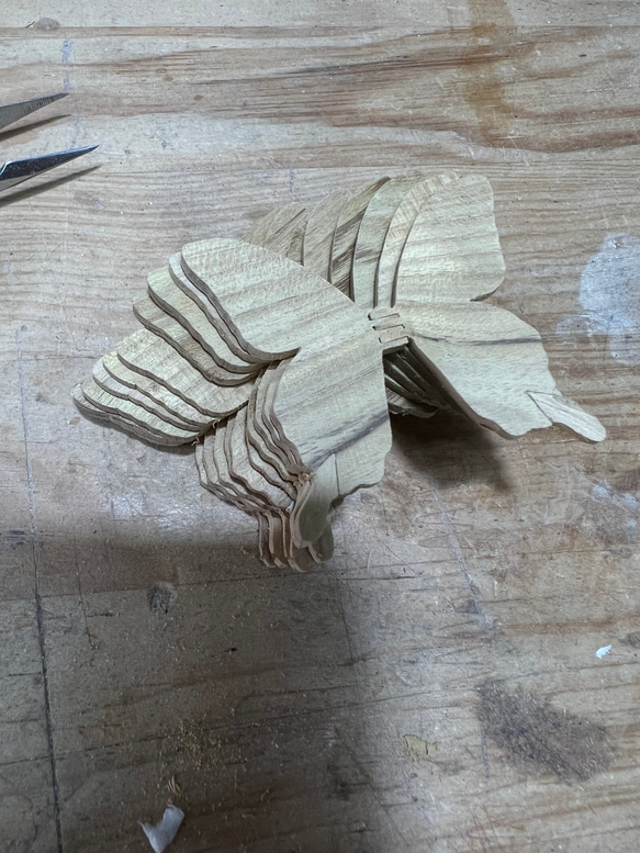 木製蝶々ブローチ「カラスアゲハ」papilio dehaanii♂ 6枚目の画像