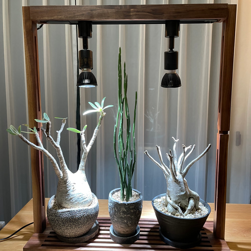 植物育成LEDライトスタンド（ウォールナット）スポットLED2個付