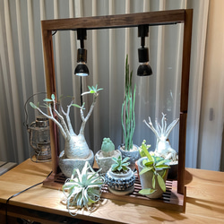 植物育成LEDライトスタンド（ウォールナット）スポットLED2個付