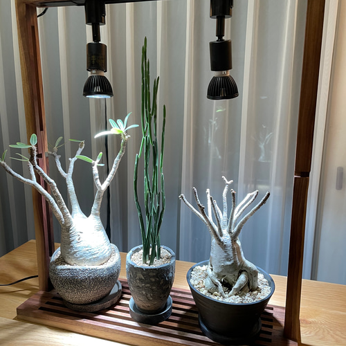 植物育成LEDライトスタンド(ウォールナット)スポットLED2個付 植物育成LEDライトスタンド(ウォールナット)スポットLED2個付