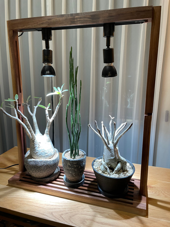 植物育成LEDライトスタンド（ウォールナット）スポットLED2個付 6枚目の画像