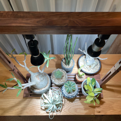 植物育成LEDライトスタンド(ウォールナット)スポットLED2個付 植物育成LEDライトスタンド(ウォールナット)スポットLED2個付
