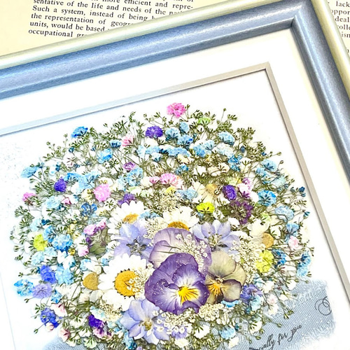 虹色 夢色 かすみ草の押し花アート額 水色タイプ 押し花額 その他