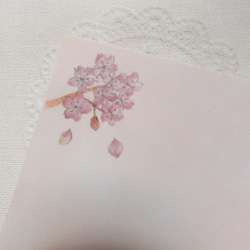 桜舞い散る～ト音記号メッセージカード５０枚セット 3枚目の画像