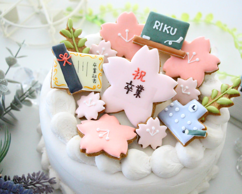 アイシングクッキー オーダー受付 オーダーメイド 誕生日クッキー アイシングクッキーオーダー受付ページ❁⃘* 誕生日.゜ 食品