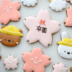 【アイシングクッキー】　入園　卒園　幼稚園　保育園　お祝い　桜 10枚目の画像