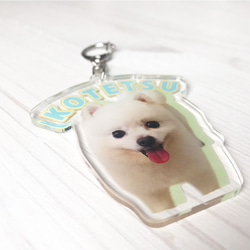 ペットキーホルダー かわいい切り抜き写真でアクリルキーチェーン 鍵の飾りプレート 犬の写真 子供の写真 カバンの目印 3枚目の画像