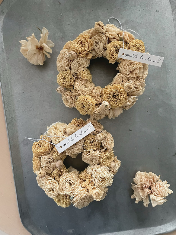 ranunculus petit wreath ⋆ ラナンキュラス  ミニリース ニュアンスカラー ドライフラワー 4枚目の画像