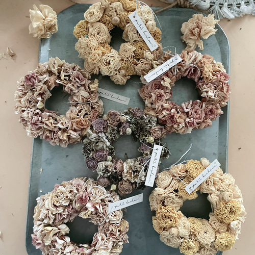 ラナンキュラスのミニリース【ラナンキュラス】ドライフラワー