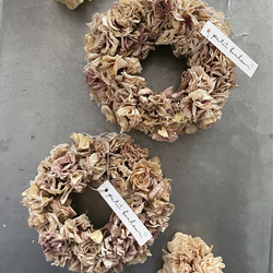ranunculus petit wreath ⋆ ラナンキュラス  ミニリース ニュアンスカラー ドライフラワー 3枚目の画像