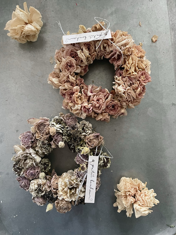 ranunculus petit wreath ⋆ ラナンキュラス  ミニリース ニュアンスカラー ドライフラワー 2枚目の画像