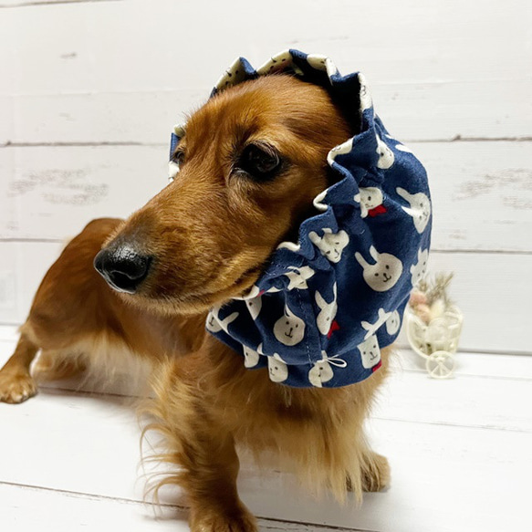 【NEW】 スヌード ネル起毛 にこにこうさぎ 【スモークネイビー】 たれ耳 わんこ 犬服 小型犬 うさぎ 5枚目の画像