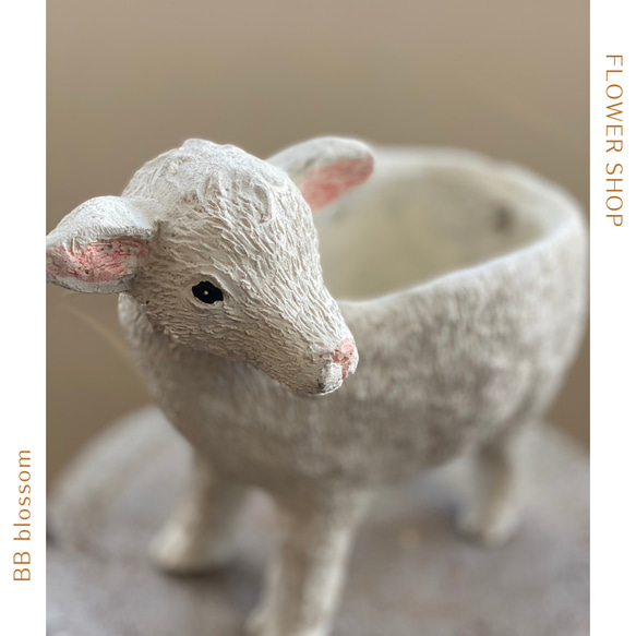 可愛い羊ムートンポット 鉢 》 観葉植物 多肉植物 お花の寄せ植えに